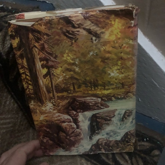 The Song of Hiawatha by Henry Wadsworth Longfellow - a story of an Indian hero - Picture 2 of 10